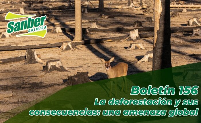 Boletín 156 OG y destacada