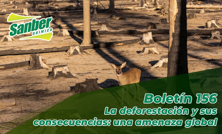 Boletín 156 OG y destacada