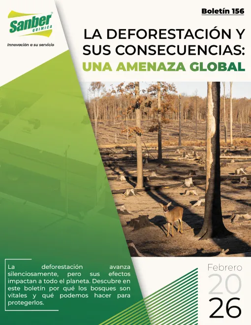 Portada 156 miniatura