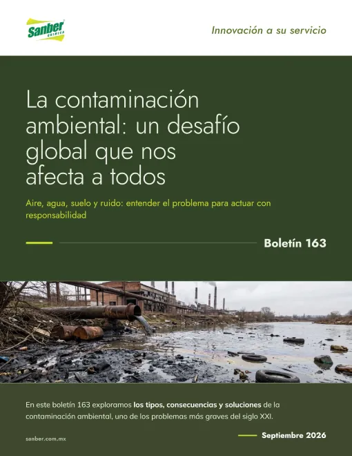 miniatura boletin 163 contaminacion ambiental
